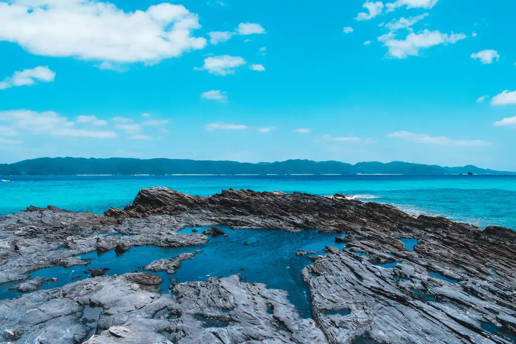 Suica暢遊沖繩：台灣旅人的便利寶典