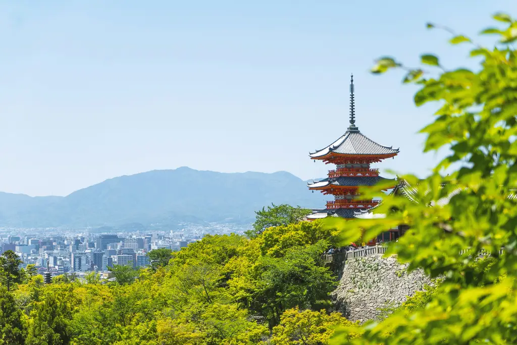 那霸市Omoromachi完整攻略：觀光、美食、購物一次滿足！