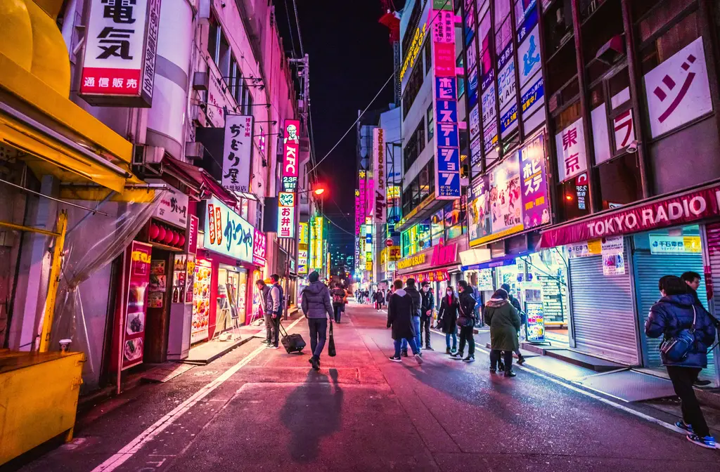 潛入沖繩海域，與巨獸邂逅：觀鯨探險指南