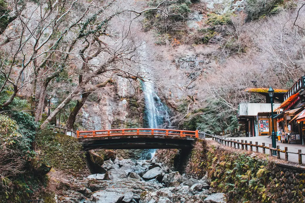 琉光溫泉湯泉泡湯之旅