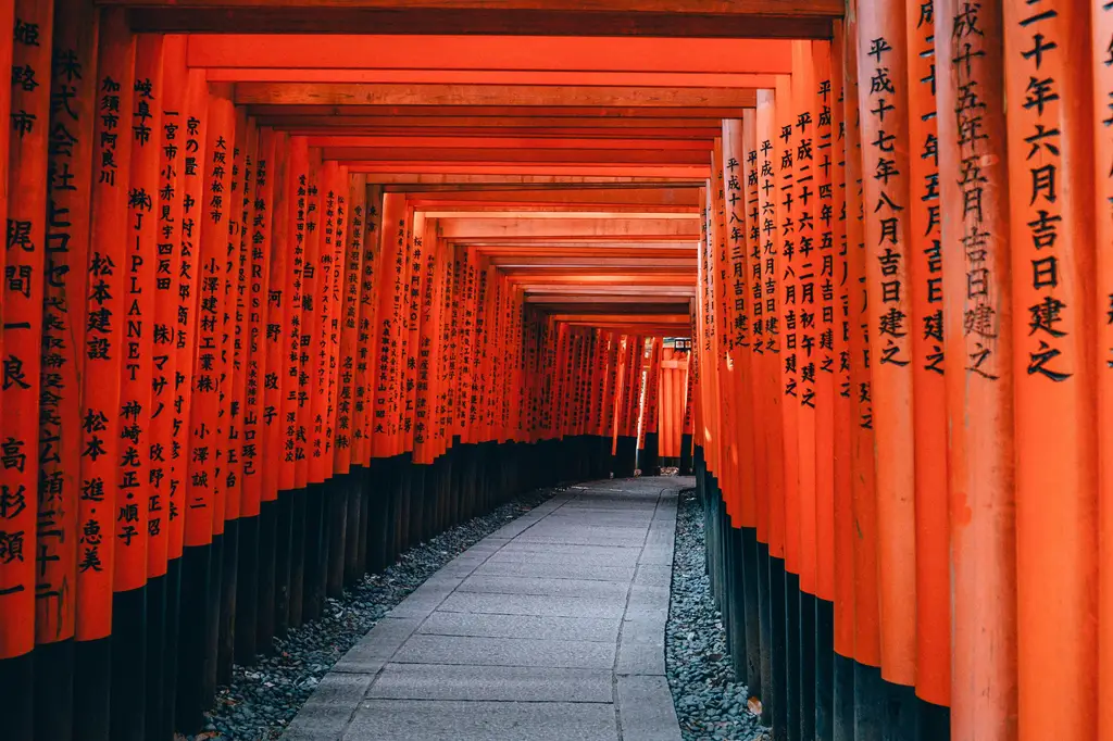 暢遊沖繩！巴士一日遊懶人包：輕鬆玩轉美麗島嶼